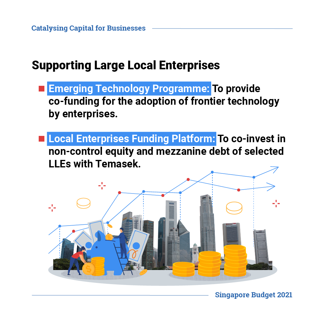 Supporting Large Local Enterprises