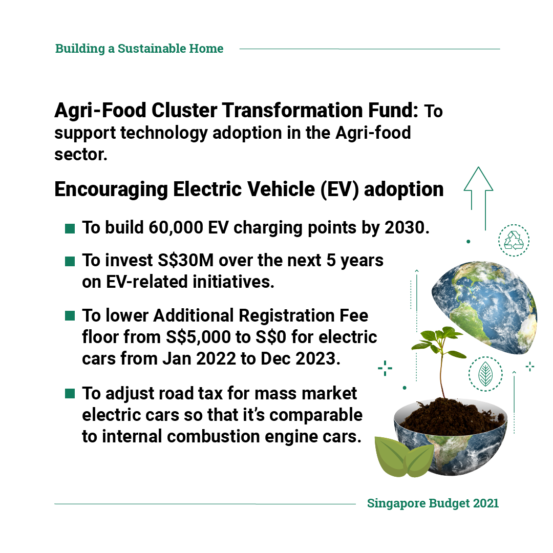 Building a Sustainable Home
