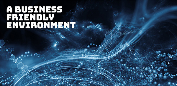 A Business Friendly Environment