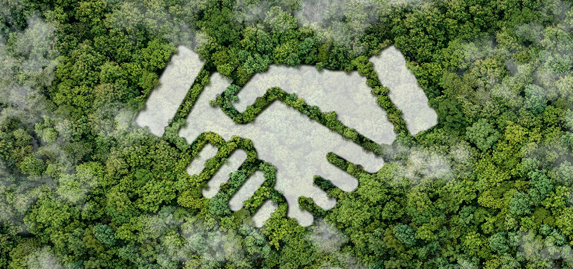 Aerial view of dense green forest with a handshake symbol carved out in the trees, representing sustainability and partnership.
