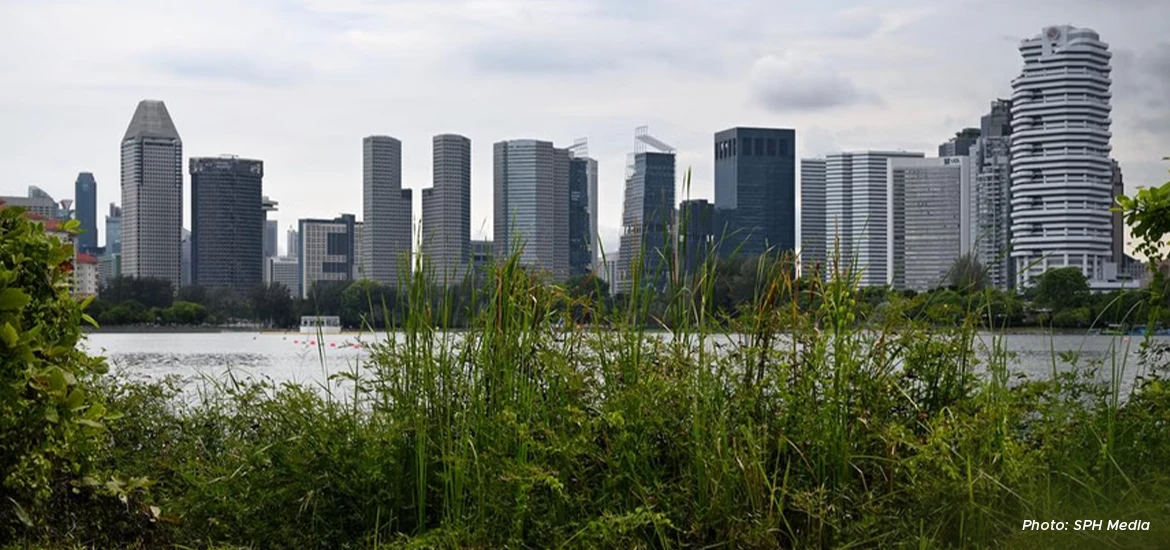 The implementation agreement between Singapore and Peru was signed virtually by Minister for Sustainability and the Environment Grace Fu and Peru’s Environment Minister Juan Carlos Castro Vargas on 1 April.