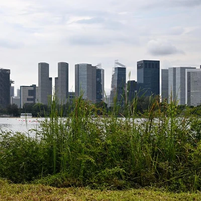Singapore inks carbon trading pact with Peru listing image