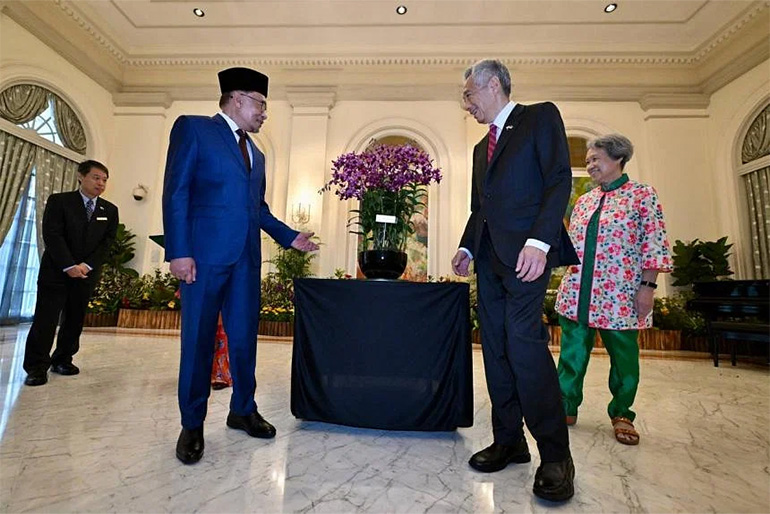 An orchid hybrid, the Dendrobium Anwar Azizah, was named in the honour of PM Anwar and his wife, Dr Wan Azizah. Image courtesy of SPH Media.
