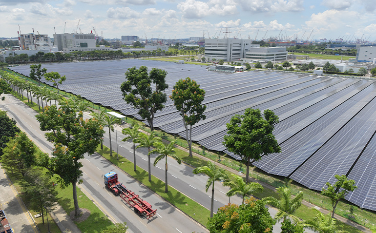 Solar Farm