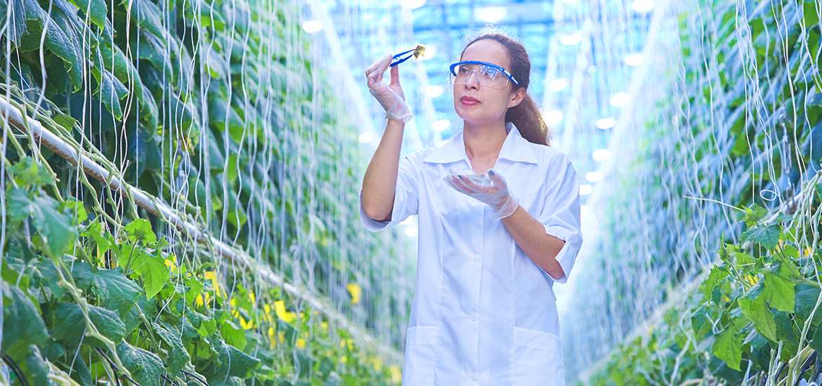 Singapore's agri-tech sector will add 4,700 jobs by 2030; new scheme launched to retrain mid-career workers for industry Masthead image