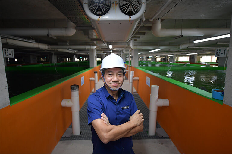 Mr Lucky Phua, Senior Director for International and Corporate Development Apollo Aquaculture Group. 