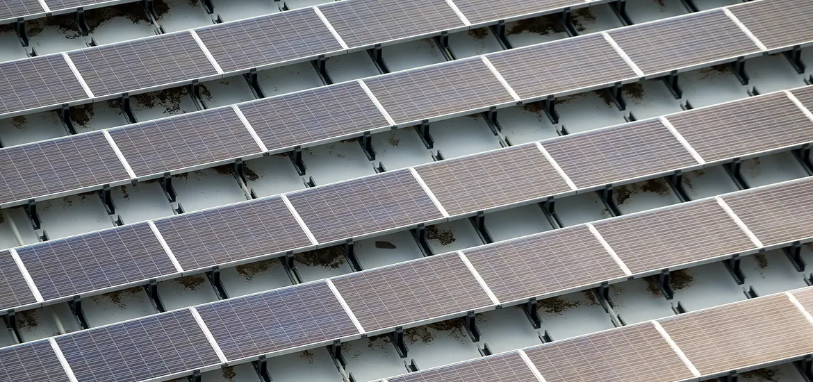 Singapore to import low-carbon electricity from Australia’s SunCable mega solar project masthead image