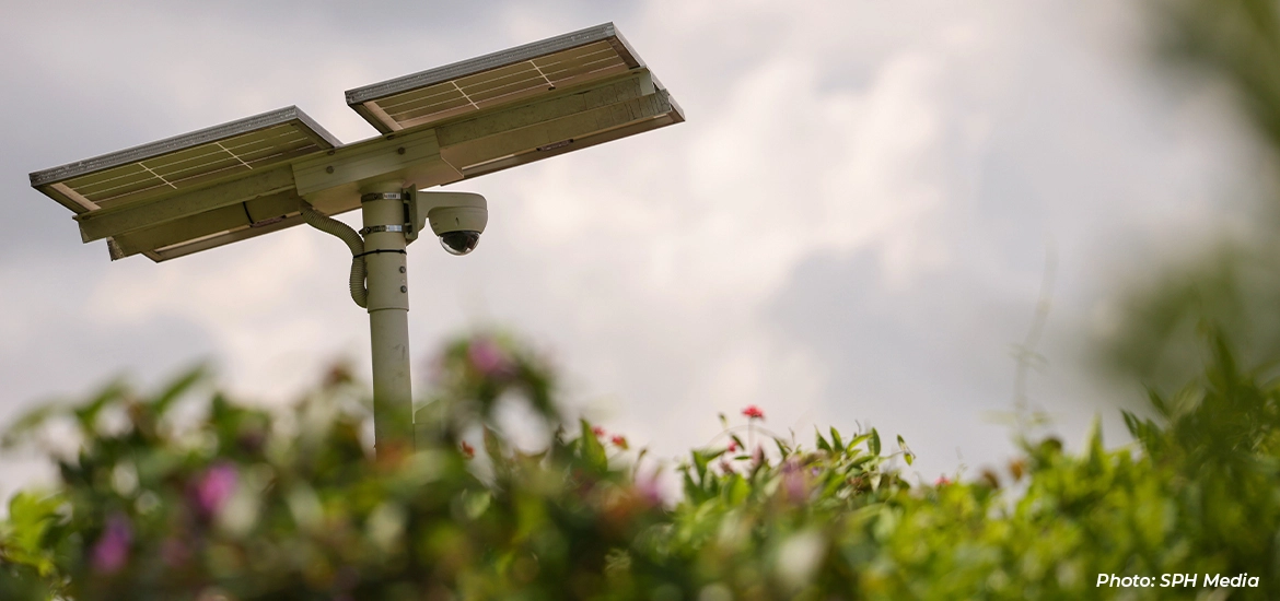 Solar-powered CCTV camera mounted on a pole above greenery, with cloudy sky in the background.