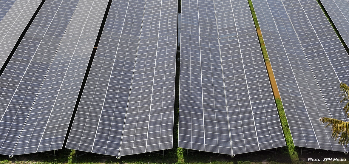 Aerial view of floating solar panels on a body of water beside a dense green forest.