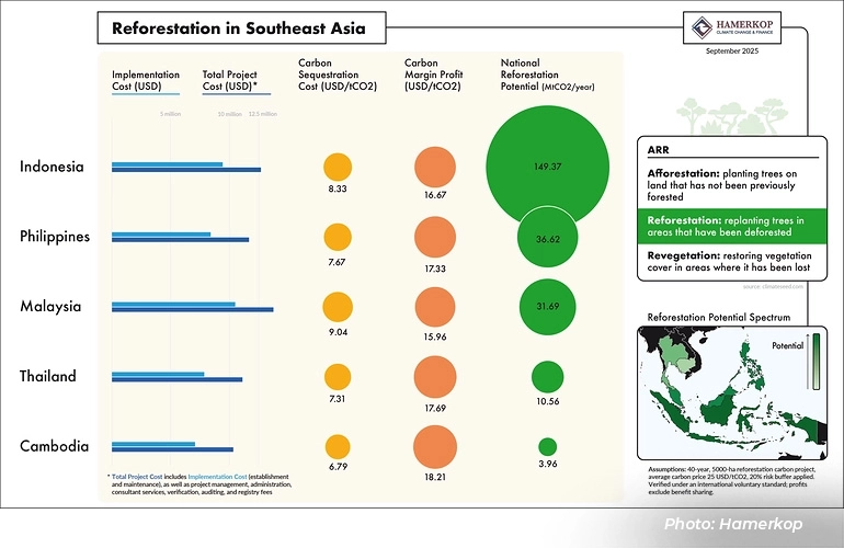 Reforestation in Southeast Asia infographic