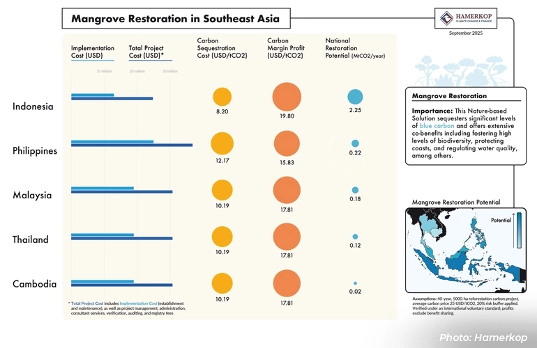 Mangrove Restoration in Southeast Asia