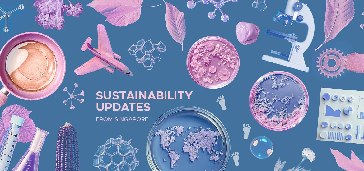 Sustainability updates from Singapore for businesses – a round-up from January to March 2025 masthead