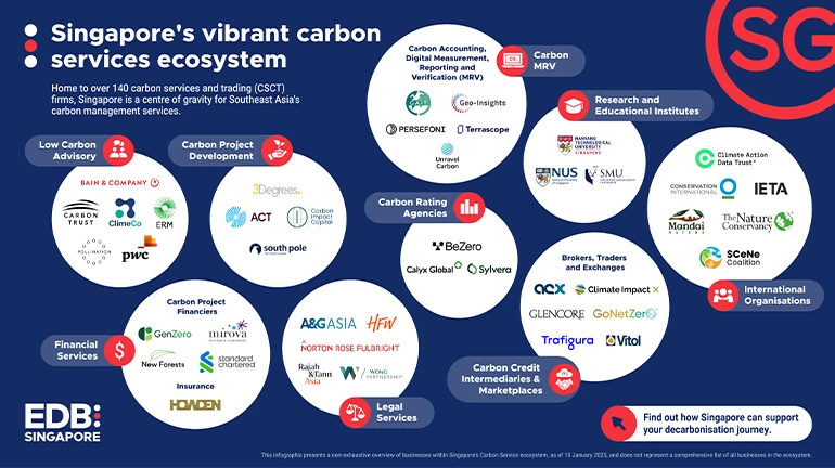 vibrant-carbon-services-ecosystem