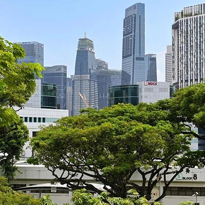 Singapore city skyline seen above lush greenery and low-rise buildings.
