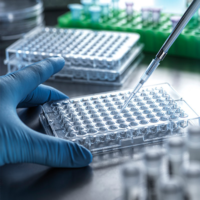 Scientist using a pipette to transfer liquid samples into a laboratory microplate, with vials and testing equipment arranged on a lab bench.