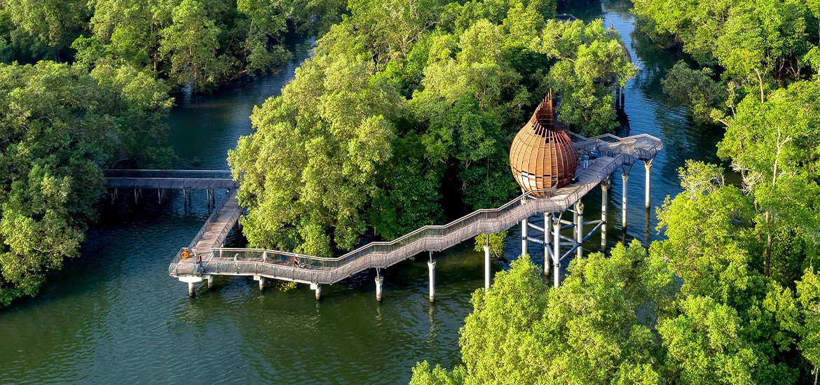 Elevated wooden boardwalk winding through lush mangrove forest, leading to a distinctive pod-shaped lookout over calm water.
