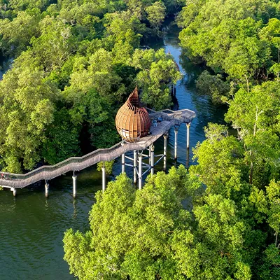Elevated wooden boardwalk winding through lush mangrove forest, leading to a distinctive pod-shaped lookout over calm water.