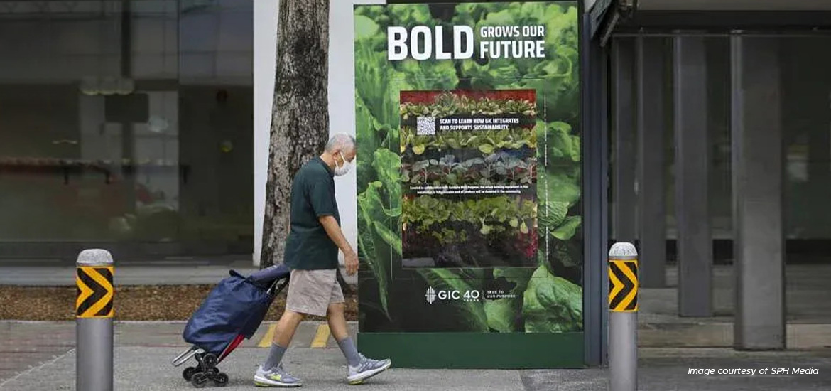 Urban farms where you least expect them - at bus stops masthead image