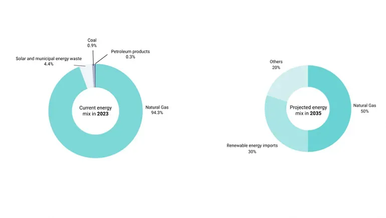 By 2035, import deals signed with Vietnam, Cambodia and Indonesia are expected to be in force. The final 20 per cent could include solar, various forms of hydrogen, biofuels, nuclear power, and geothermal power.