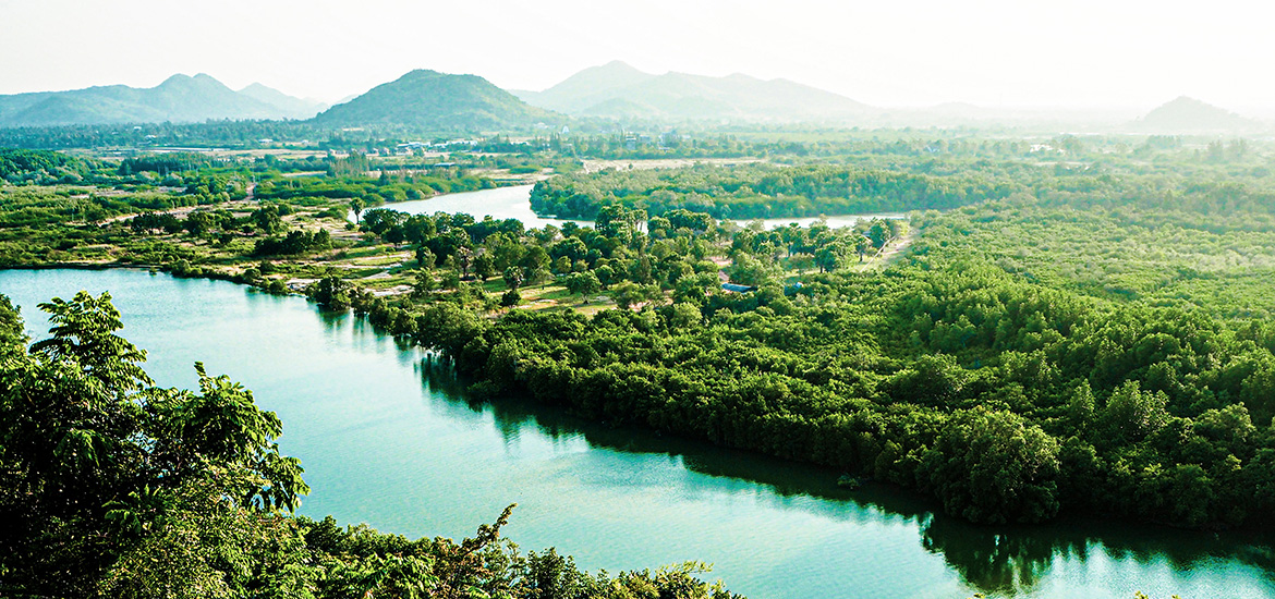 Why investing in nature makes good business sense Masthead