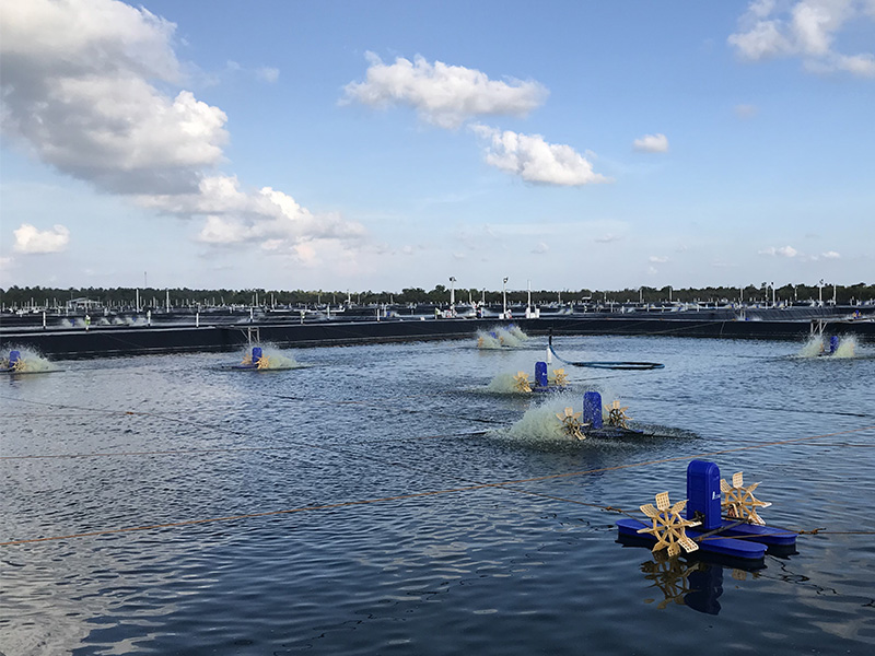 AquaEasy is transforming livelihoods in Asia’s burgeoning aquaculture sector by leveraging on Bosch’s deep expertise to innovate new solutions.