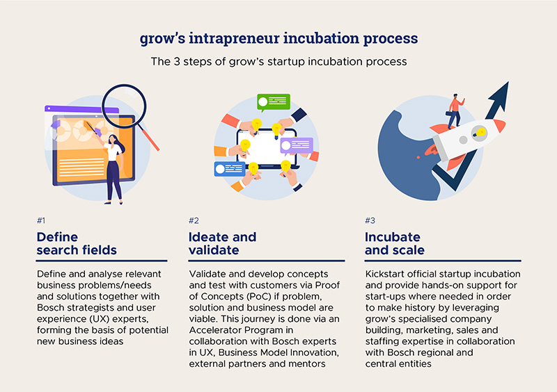 Infographic for "Grow's Intrapreneur incubation process"