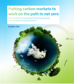 putting carbon markets to work on the path to net zero thumbnail image