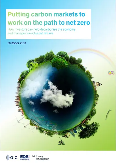 Decarbonisation Strategies & Carbon Offset Projects for Net Zero | Singapore EDB