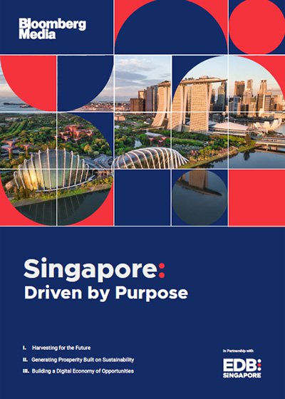 Learn more about how Singapore is partnering businesses to achieve both profit and purpose!