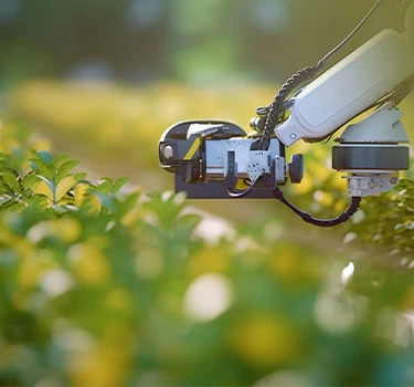 Agrifood