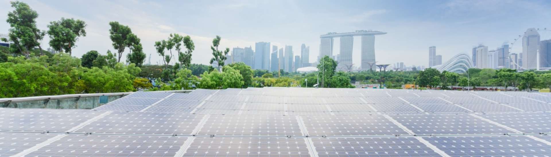 Sustainability