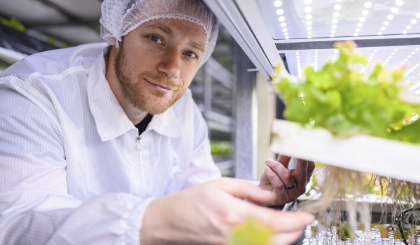 Man in hydrophonics farm
