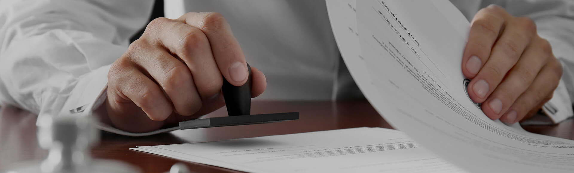 Re-Entry Permit (REP) Renewal Appeal