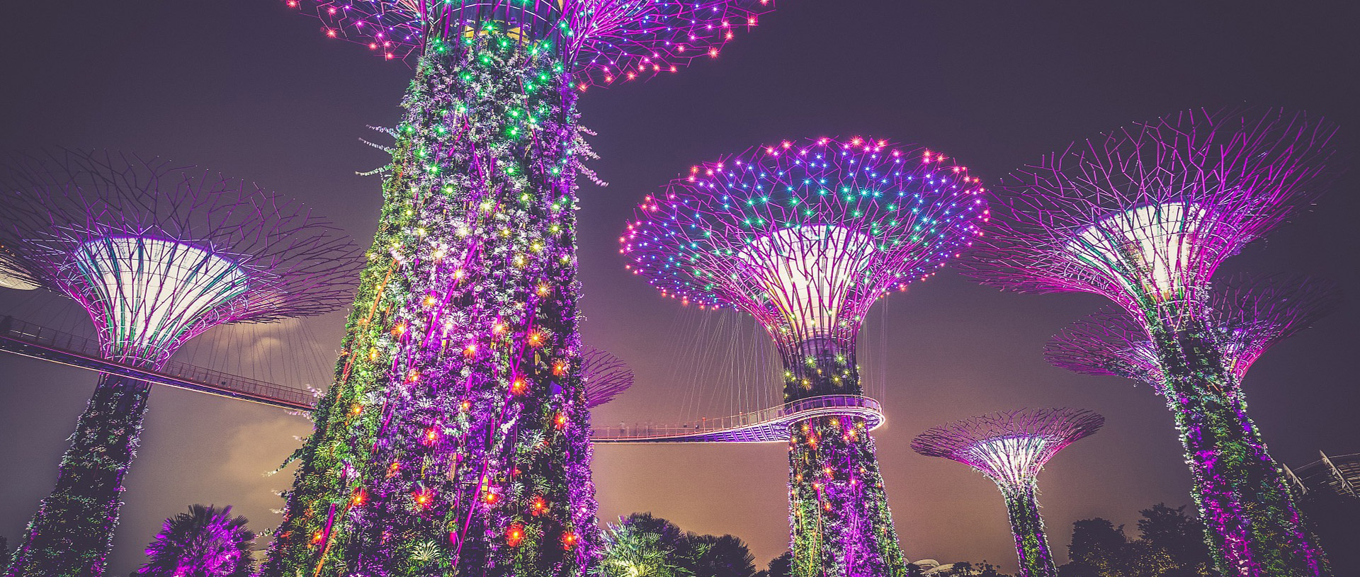 Five reasons why the world's tech firms are moving to Singapore