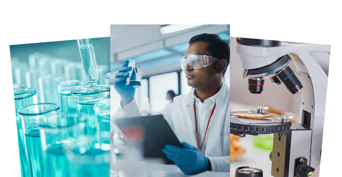 <h5><b>Insights into Singapore's Biotechnology and Pharmaceuticals industry</b></h5>
