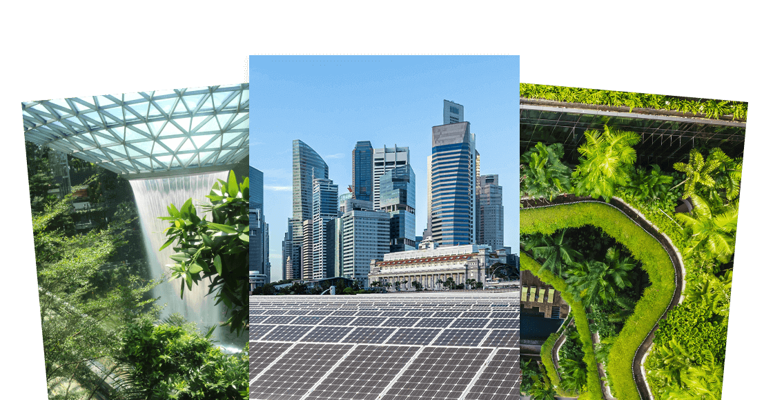 <h5><b>Insights into Singapore's Carbon Services and Trading industry, and key sustainability updates in the region</b></h5>