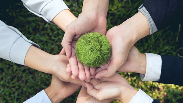 Multiple hands holding a green moss ball together, symbolizing a strong partner network.