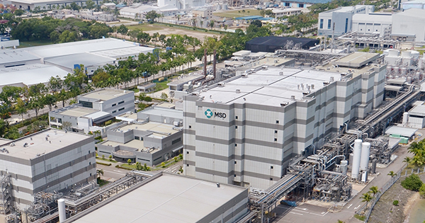 Merck Sharp & Dohme Phone Number Merck Sharp & Dohme (MSD) | Company Highlights | Singapore EDB