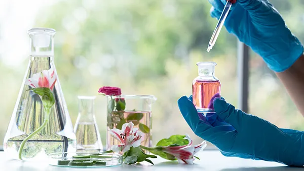 Gloved hands handling a small vial of pink liquid with a dropper, surrounded by beakers containing flowers and botanical samples in a bright laboratory setting.