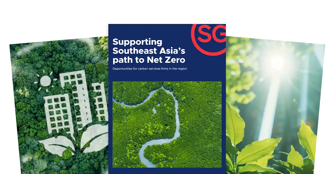 <h5><b>Insights into the Green Economy in Singapore</b></h5>