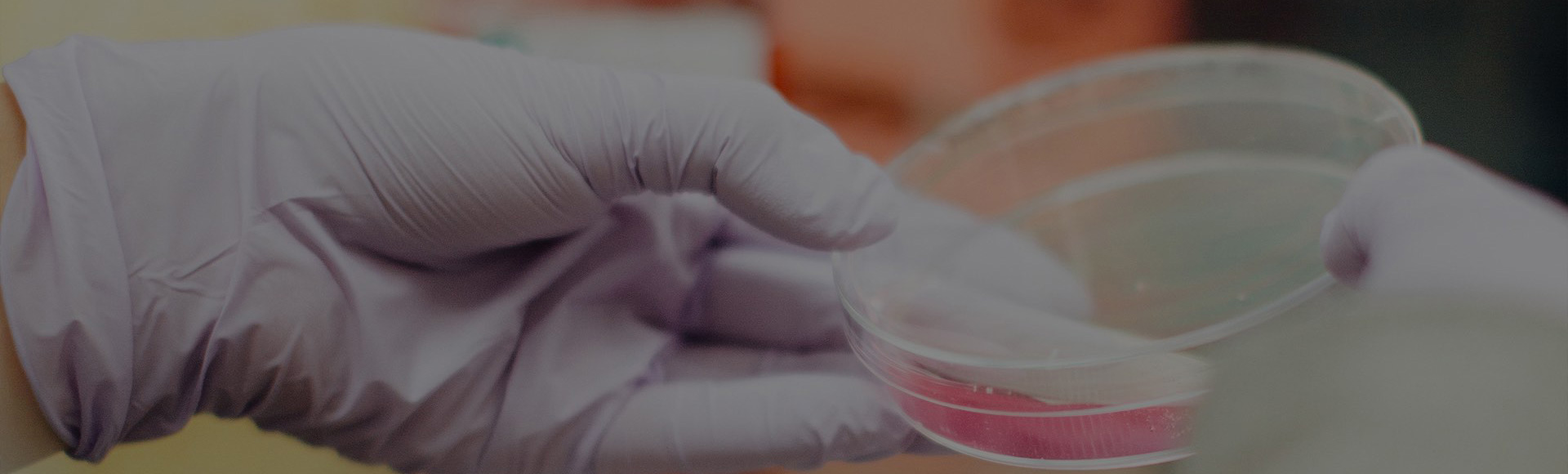Pharmaceuticals & Biotechnology Masthead
