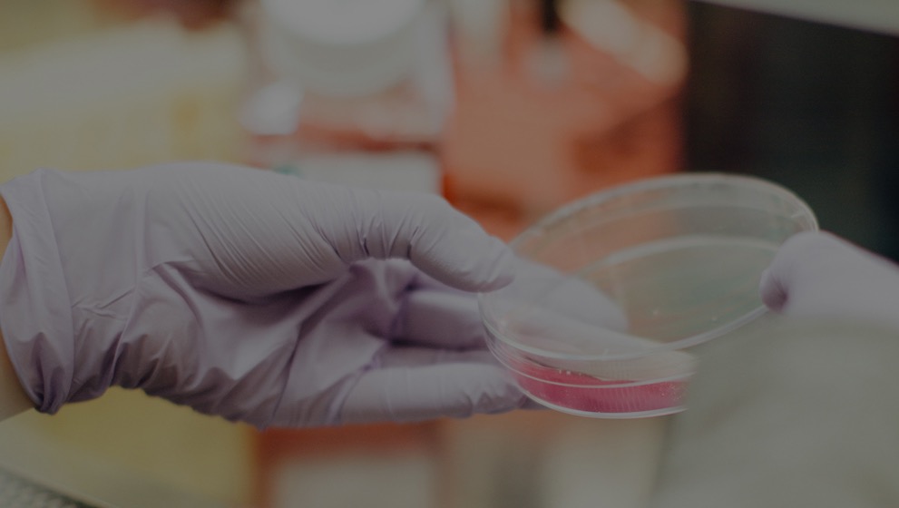 Pharmaceuticals & Biotechnology Masthead