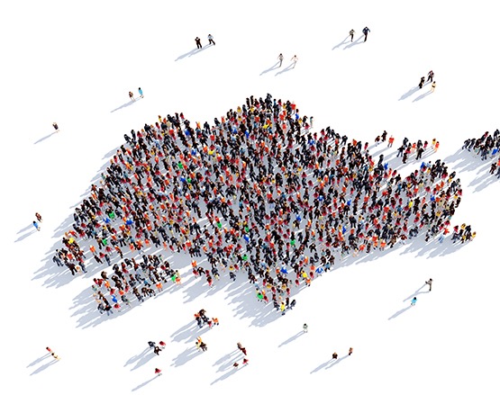 diversified business environment content image