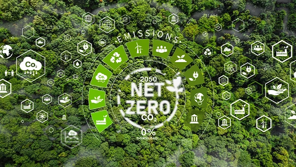 Graphic overlay of net zero carbon emissions goal by 2050 on top of a dense green forest, highlighting sustainable initiatives and climate action icons.