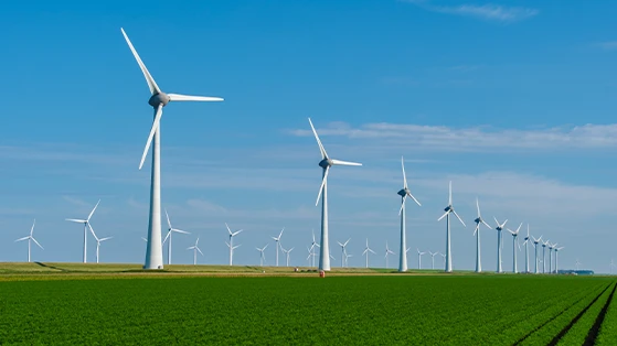 A large wind farm featuring multiple wind turbines lined up across a green field under a clear blue sky, symbolizing wind energy development and renewable energy infrastructure.