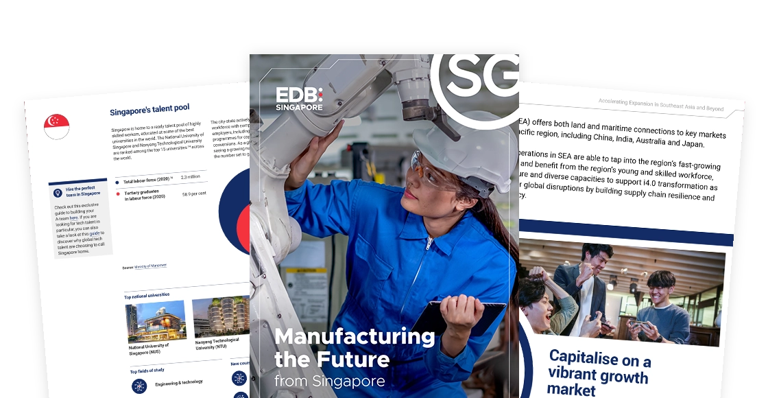 <h5><b>Insights into Singapore's Technology Hardware and Equipment Industry</b></h5>

