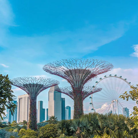 Singapore – A green city oasis