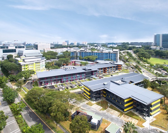 Birdview of buildings