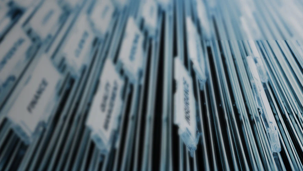 BRIDGE Singapore Business News masthead image