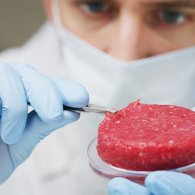 A scientist wearing a mask and blue gloves examines a lab-grown meat patty with tweezers, demonstrating a sample in a petri dish in a laboratory setting.